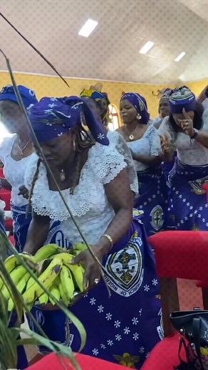 23 reactions · 29 comments | It was a success to God’s glory #viralreelschallenge2025viralreelschallengejaiviralreelschallengeviralreelschallenge | Josephine Makwe Umunnakwe | Facebook