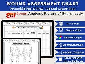 Wound Assessment Chart | Wound Care Documentation Sheet for Nurses & Caregivers | Patient Assessment, Pressure Ulcer Skin | Wound Record - Etsy Australia