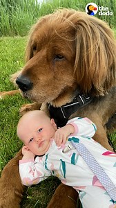 21M views · 249K reactions | Rescue dog doubles in size and fluff just in time to give his new baby sister the warmest welcome to the family  | Soulmates | Facebook