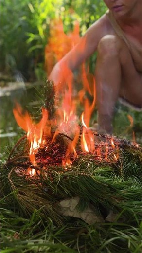 Wild Amazon Adventure: Surviving the Jungle Challenge!