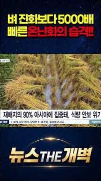 "Will we be unable to eat rice?" Shocking results: Global warming is 5,000 times faster than rice...