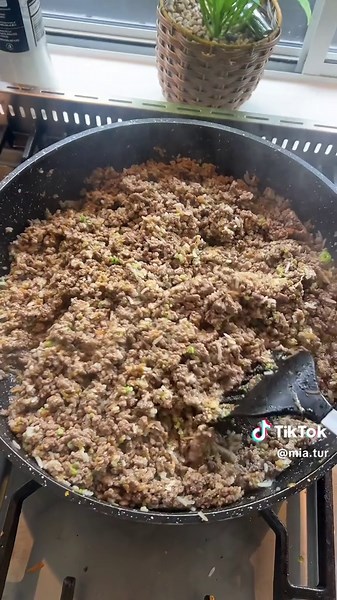 Homemade Dog Food: Blending Peas for Happy Pups