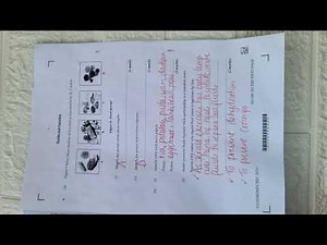 2024 PHYSICAL EDUCATION PAPER 1B WITH ANSWERS