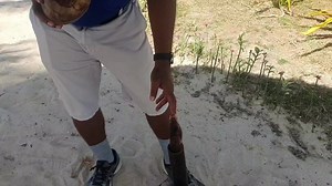 1.9K views · 93 reactions | How to - Husk & Crack Cocnuts便 Mesu Activities Manager show how to husk and crack coconut Fijian way enjoy. #Wyndham #wyndhamhotel #wyndhamresort #wyndhamdenarau #fiji #wyndhamap #sotatale #fijitourism #fijitime #fijinow #fijime #bula | Club Wyndham Denarau Island | Facebook