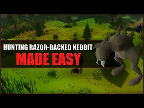 Quick Guide to Hunting Razor Backed Kebbit in OSRS | Hunter Guide | Hunters Rumours
