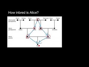 Express method how to find inbreeding coefficient