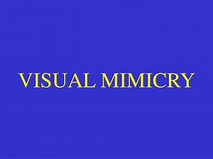 VISUAL MIMICRY - SlideServe