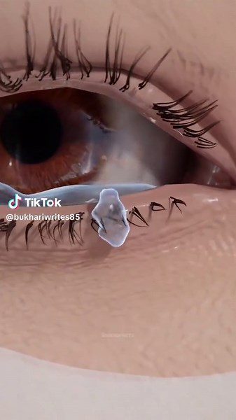 Gun of Frozen Tears #fyp #fypシ #fypシ゚viral #viralvideo #trending #foryoupage #viral #tiktok #history #space