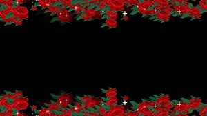 4K Red Rose flower display frame loop overlay with flower petals and particle lights for overlays on your celebration projects, couples, elements, loving, marry, Mother's Day, scene and titles, logos.