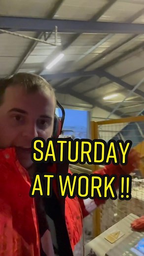 Engineering Work Environment Insights on Saturdays