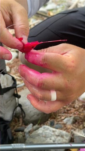 There’s the clean way to rig a coon shrimp.