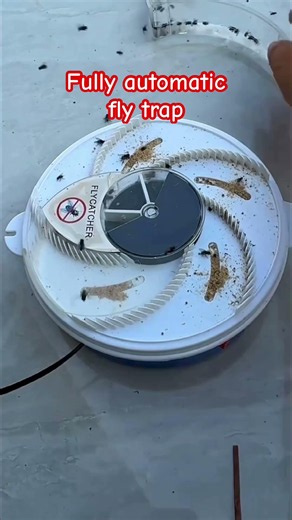 Fully automatic fly trap #2026flytrap