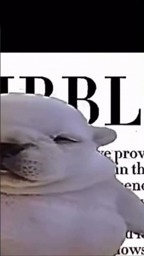 I am pibble wash my belly