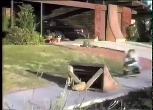 Thirty-seven years later, I can’t kick this habit. Have a great weekend everybody, and if you are filming or working on a new trick, best of your skills and luck. | Ronnie Creager