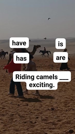 27K views · 914 reactions | Riding camels ___ exciting. | English Tutor . | Facebook