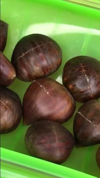 🌰 MICROWAVE ROASTING CHESTNUTS 🔥 | The trick no one tells you