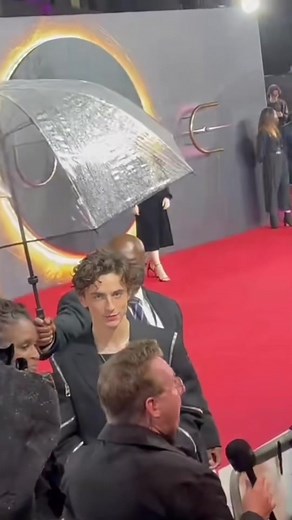 Timothee Chalamet Party Video Edits Compilation