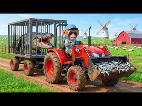 Monkey CoCo Runs from a Big Crocodile with His JCB… But He Gets Stuck in a Cage!