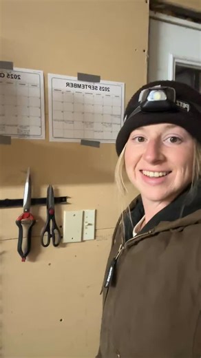 Breeding season was very anticlimactic here on the ranch and is shockingly already over 😱 Of course there’s much to talk about in that area such as who we bred to who and why but what I can tell you is that we bred 8 does. But I would be quite surprised if all of them took 🫣 The reasoning behind that is that a couple of our older does have been having ovarian cysts which we have treated but one doe seems to have some particularly stubborn ones…so we’ll see 🫤 An Angora doe goes into heat every