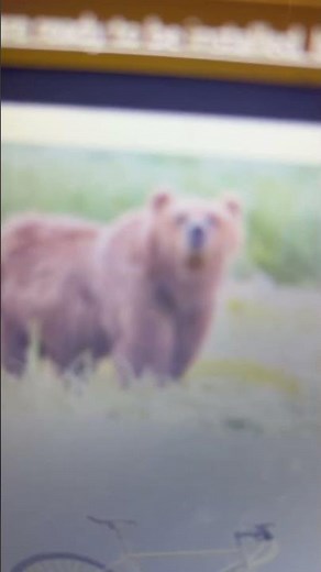 Dora The Explorer ABC Animals Letter B