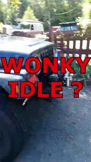 Jeep have a wonky idle?