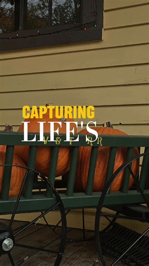 🎃 All aboard for the final ride of the Pumpkin Patch Train — happening rain or shine! 🌦️ Don’t miss your last chance to grab the perfect pumpkin and enjoy some good old-fashioned family fun aboard the Virginia & Truckee Railroad. 🚂🎃 👉 Last day — don’t miss it! | Virginia & Truckee Railroad Company