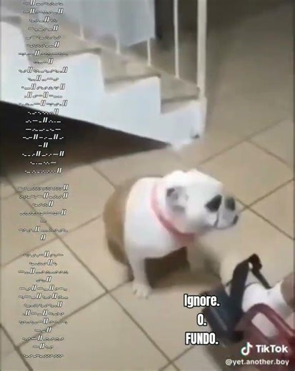 :3 // Tags — #vaiprofycaramba #morsecode