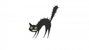 creepy cat. black cat animation.