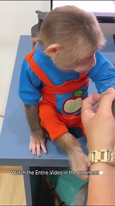 Cubis and dad bake cakes! Special Cake Recipe | Monkey PuPu