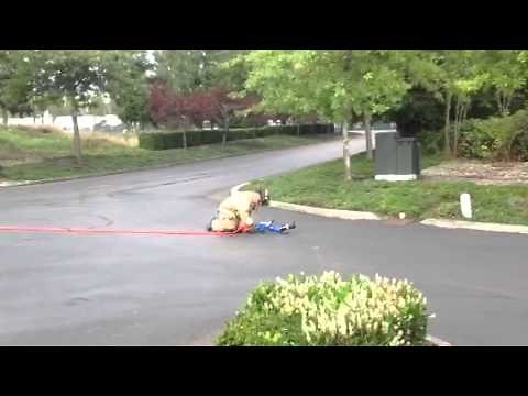 Blitzfire Operation E34