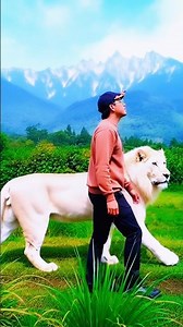 Apa artinya #cukupsudah #perbukitan #gunung #fyp