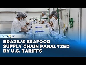 High U.S Tariffs Bring Brazilian Seafood Exports to a Complete Halt