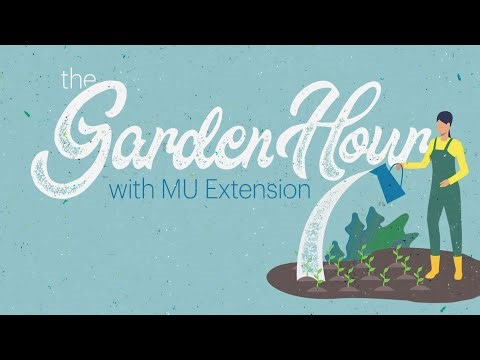 The Garden Hour with MU Extension – 3/19/25