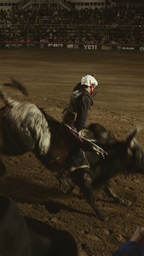 PBR Australia Beaudesert: Weekend of Wild Rides