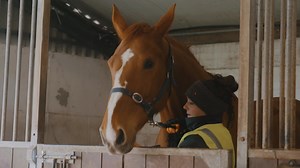 228 reactions · 39 shares | We're delighted to be offering full time Equine Courses starting September 2023! Interested in a career in equine? Why not check out our Level 5 Certificate in Horsemanship and Certificate in Stud Management on our website! Want to register your interest and be the first to know when applications open? Email info@gurteencollege.ie or call (067)21282 | Gurteen College | Facebook