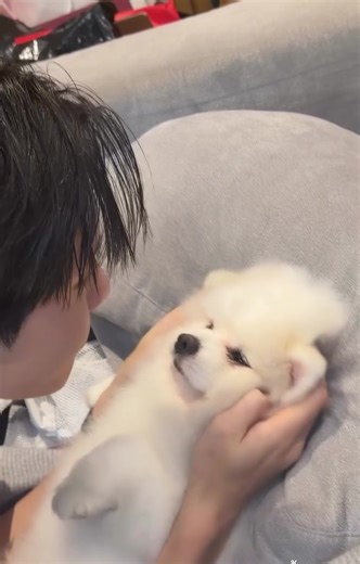 Jame and Whipcream: A Fun Duo!