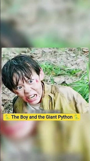 🐍 The Boy and the Giant Python 🐍