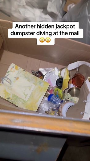 Insane mall dumpster diving jackpot!