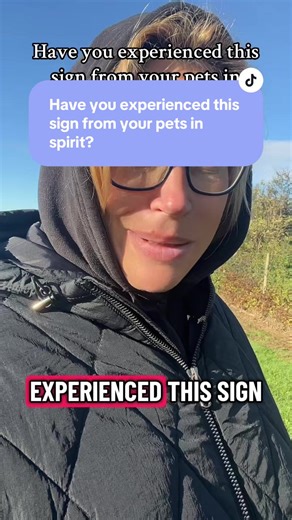 Signs from Pets in Spirit You Should Recognize