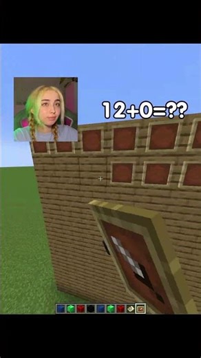 TV Screen Illusion 🤯 #minecraft