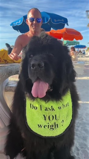 Madison Byrne (@madisonnbyrne)’s video of my dog