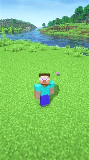 🟫 Carpets Can Stop Mobs From Spawning! 👾 | Minecraft