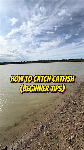 How to catch catfish 🎣 (Step by step) for my beginers who want to start fishing for catfish! Comment below if these tips helped you or show your best PB! #fyp #fishing #outdoors #htx #fishingspot