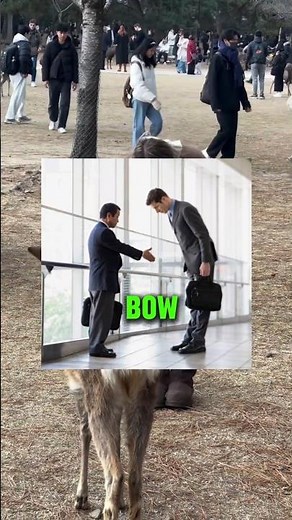 In Japan People Bow Instead of Shaking Hands #japan #japantravel #japanese #facts #viral