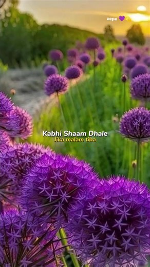 Lagu Bollywood Terbaru yang Menggugah Hati