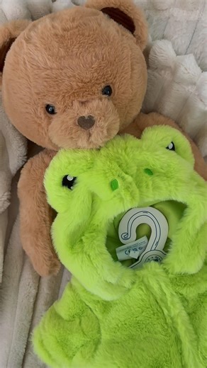 shhh she’s a frog 🧸🐸 #teddybear #frog #buildabear #spring #plushies