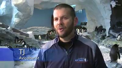 40K views · 902 reactions | A new year with new feathers! Check out...