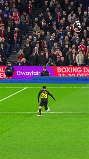 Brighton & Hove Albion: Premier League Highlights