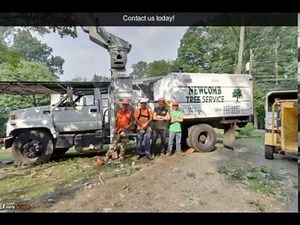 Newcomb Tree Service | Asheville, NC | Tree Service