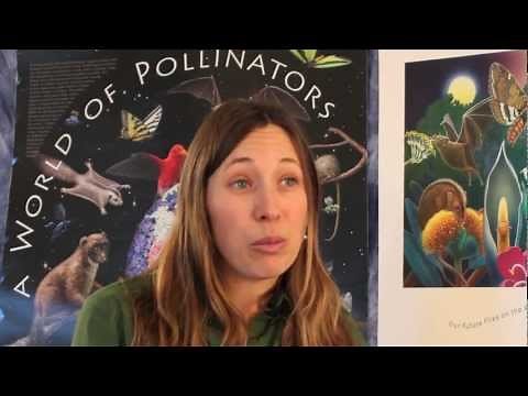 Bee Friendly! The Importance of Pollinators